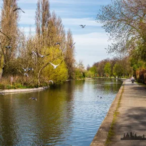 Barking Park