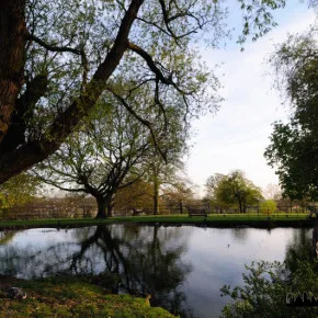 Gladstone Park