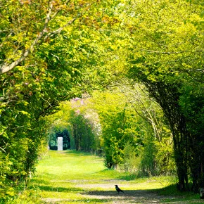 Lee Valley Park