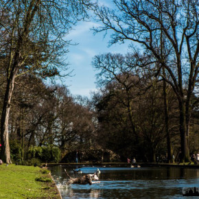Valentines Park