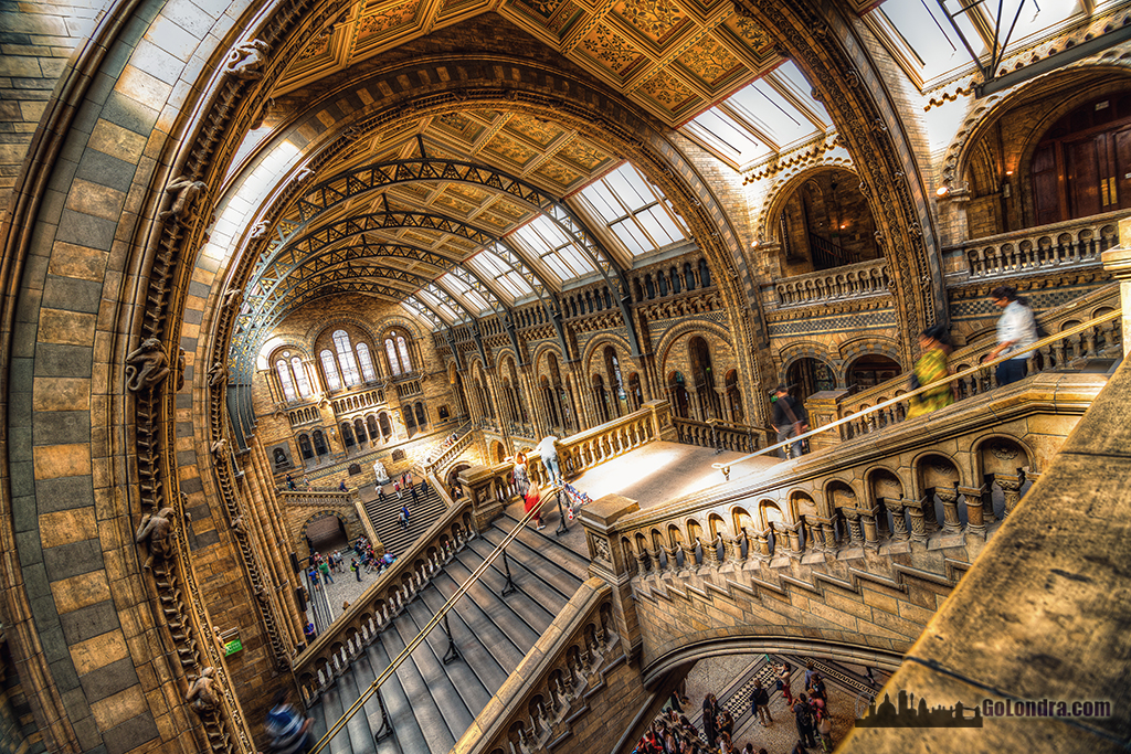 Natural museum london